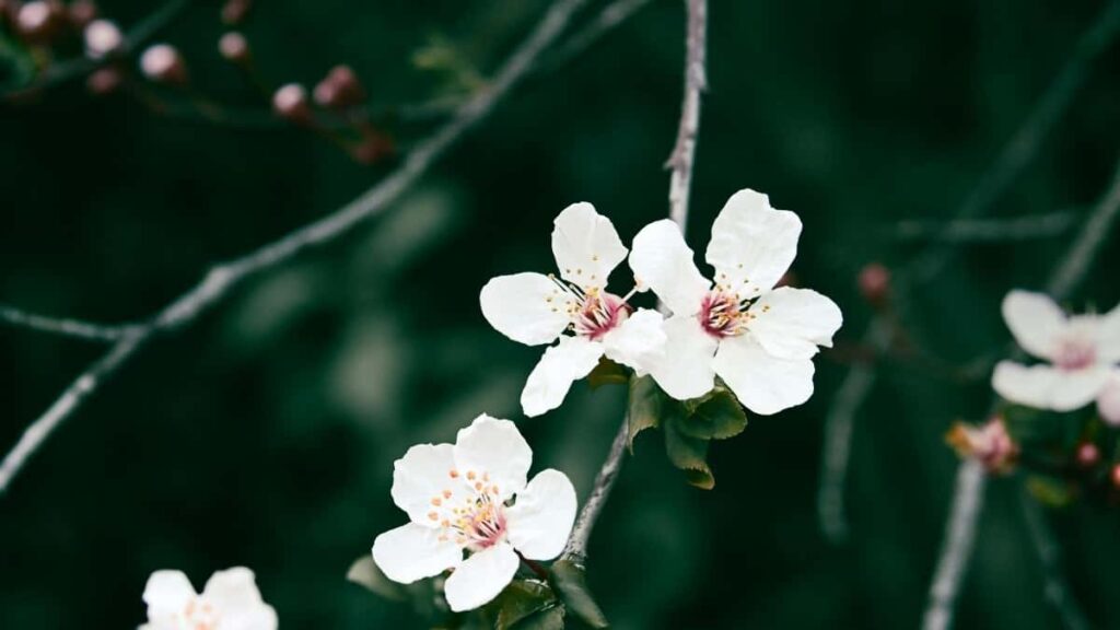 Top 10 Instagram Influencers You Should Collaborate With In South Korea