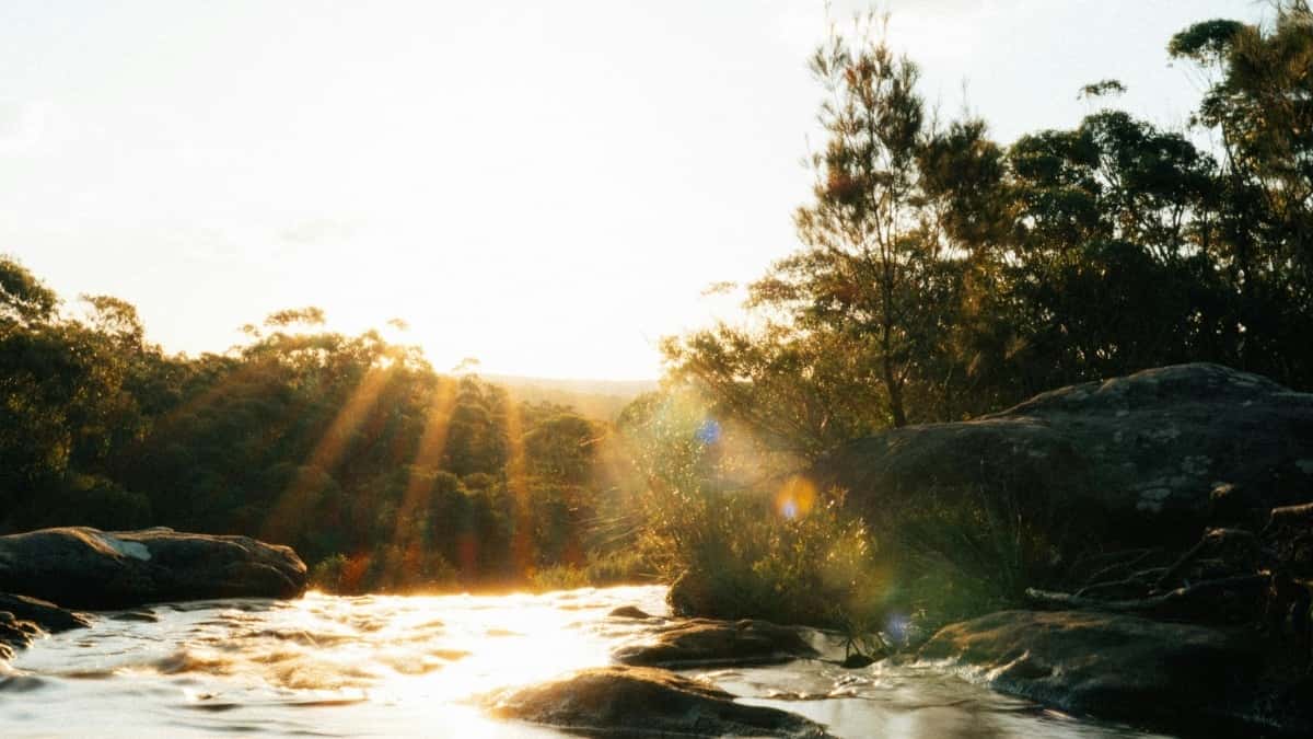 How Aussie Brands Can Nail Influencer Testimonials on WhatsApp from Uruguay