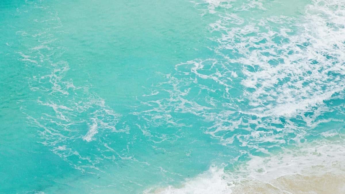 Creators’ Guide: How to Connect with Oman Brands on Josh for Emerging Artists
