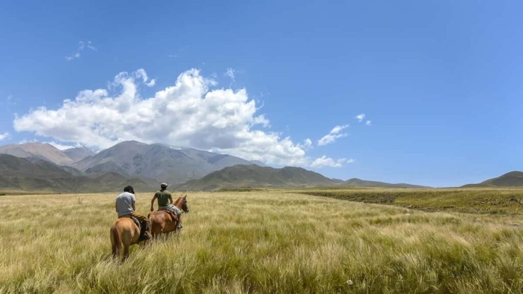 Discover practical tips for Aussie advertisers to connect with Chilean QQ creators and drive traffic to fitness apps effectively.