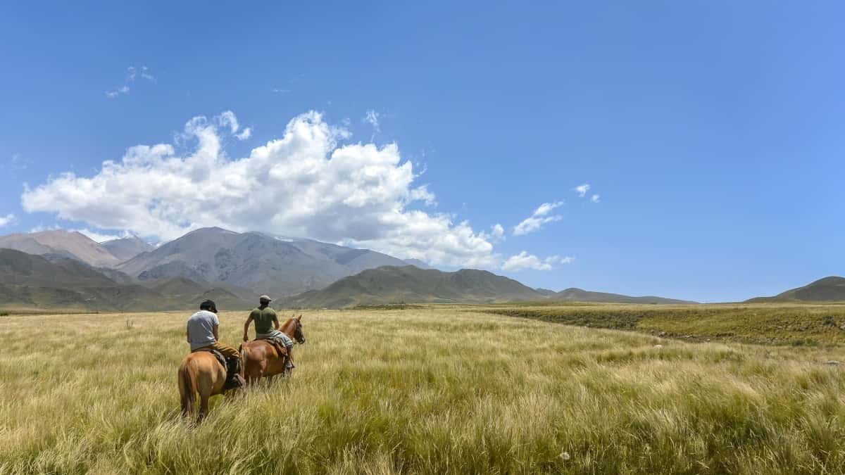 Aussie Marketers: How to Find Chile QQ Creators to Boost Fitness Apps