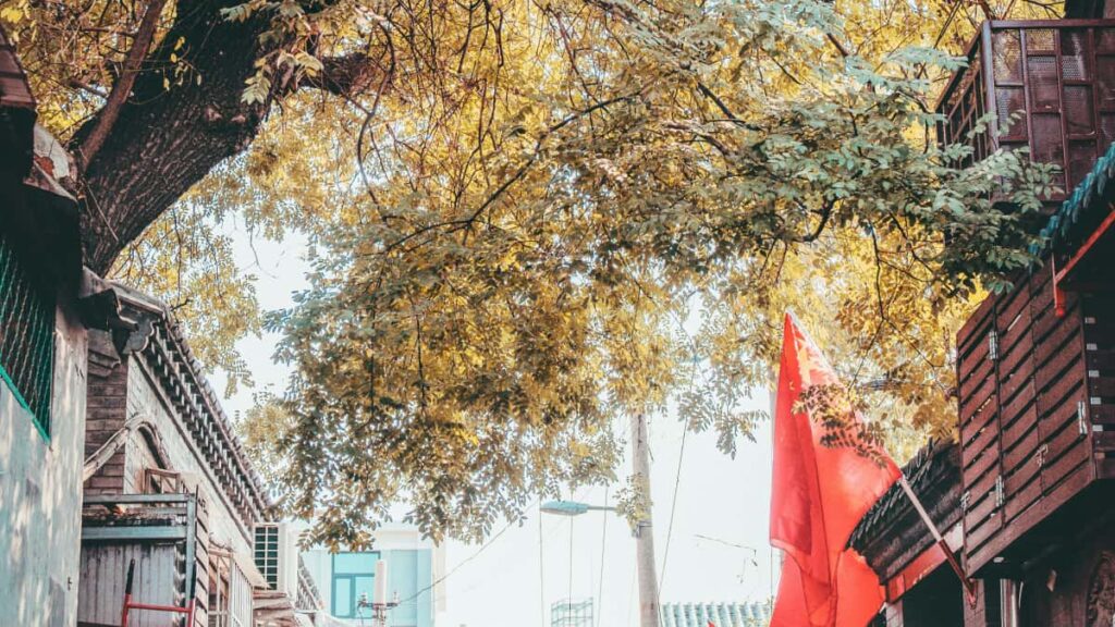 Practical guide for Australian advertisers to find eBay creators, build flash-sale hype, and convert fast using creator-led funnels and data-led targeting.