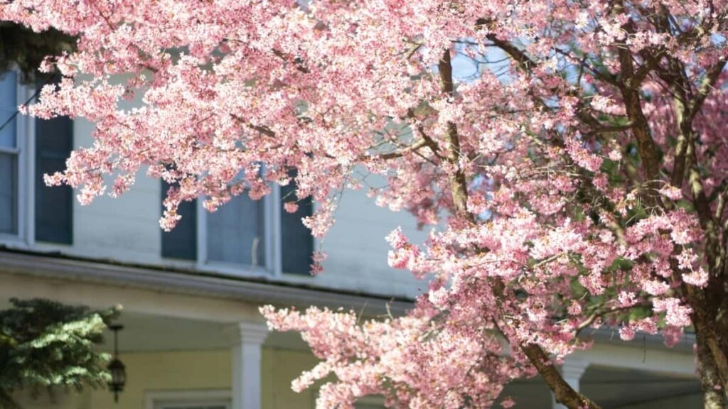 Practical playbook for Australian travel brands to find Colombia-based Telegram creators, brief on UGC Era model, outreach tactics and campaign setup to raise travel-gear awareness.