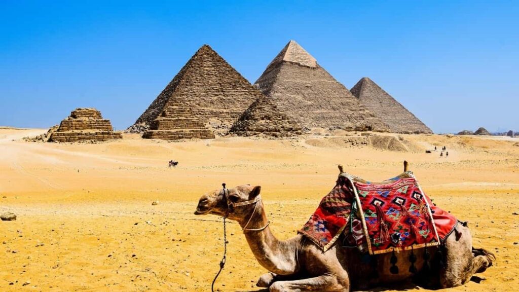 Practical playbook for Aussie advertisers to discover German Telegram creators for product seeding and creator-led growth.