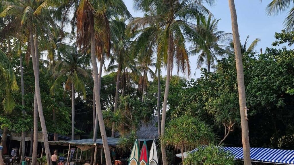 Practical guide for Australian brands to locate and work with Iran-based Clubhouse creators to launch clothing collections safely, effectively and with cultural smarts.