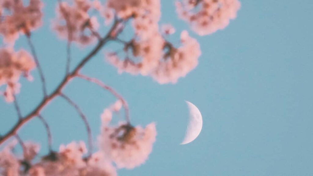 Practical playbook for Australian advertisers to find Sri Lanka LinkedIn creators, run fast demand tests, and interpret noisy signalslocal tactics, outreach scripts, tracking tips.