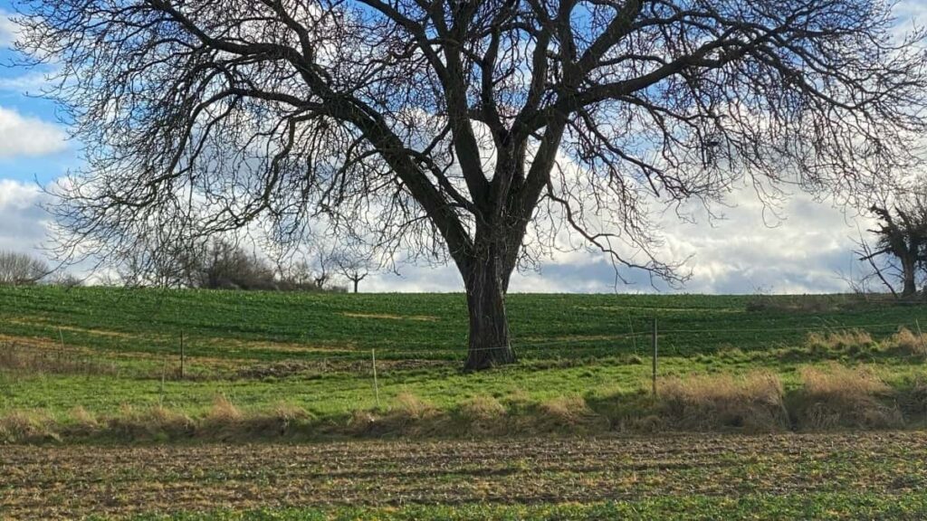 Practical guide for Australian micro-creators on pitching Canadian brands on YouTube for seeding programs, outreach tactics, templates, and platform tips.