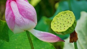 Practical, local guide for Australian creators who want to contact Italian brands on Amazon to make song reaction videos outreach scripts, legal tips, and platform hacks.