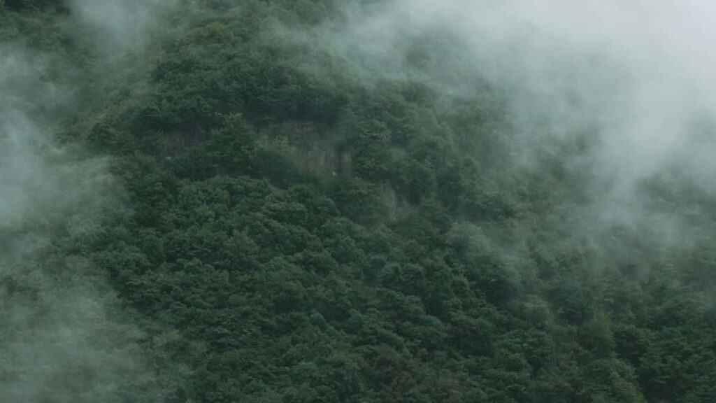 Practical guide for Australian creators on finding and pitching South African brands on Josh to secure flatfee deals, with outreach templates, pricing tips and risk notes.