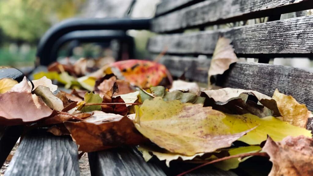 Practical guide for Australian creators to pitch Swedish brands on LinkedIn and co-create exclusive product bundles outreach scripts, platform tactics, and partnership playbook.