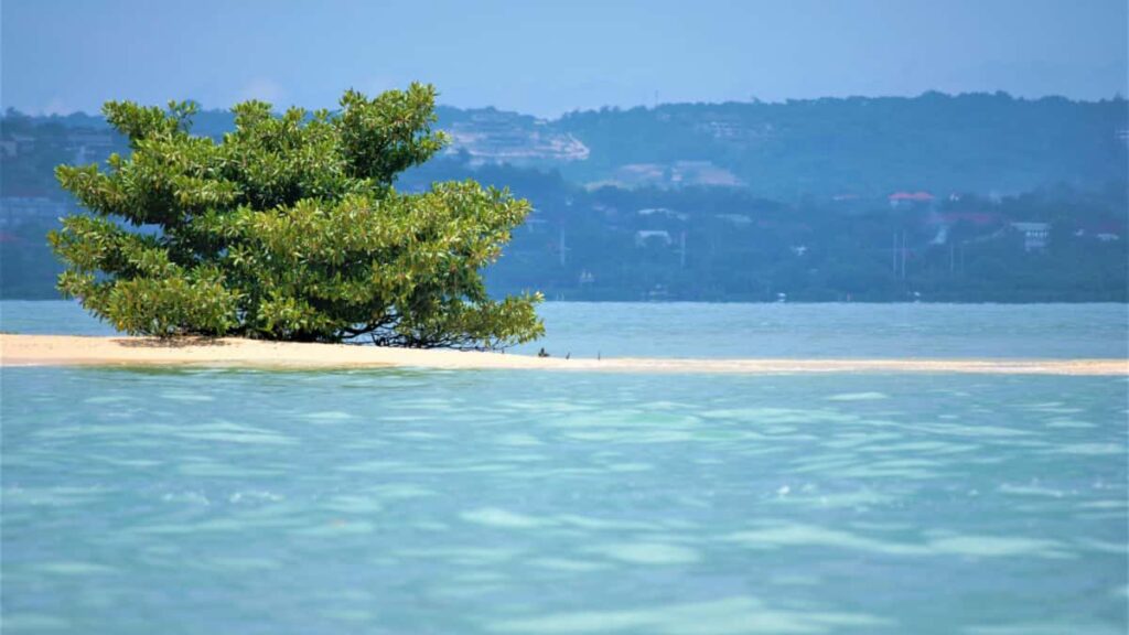 Practical guide for Australian brands to find and partner with Kenyan Facebook creators for dance challenges tools, tactics, risks, and outreach templates.