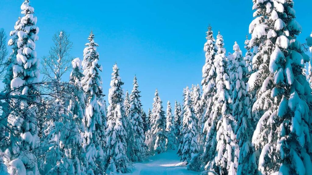 Practical guide for Australian advertisers on finding and hiring Kenya-based ShareChat creators to run seasonal sales campaigns outreach, vetting, pricing, and campaign flows.