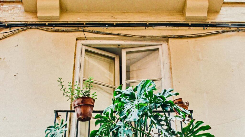 Practical, street-smart guide for Australian creators on pitching Laos brands appearing on HBO Max to co-promote healthy habits with followers.