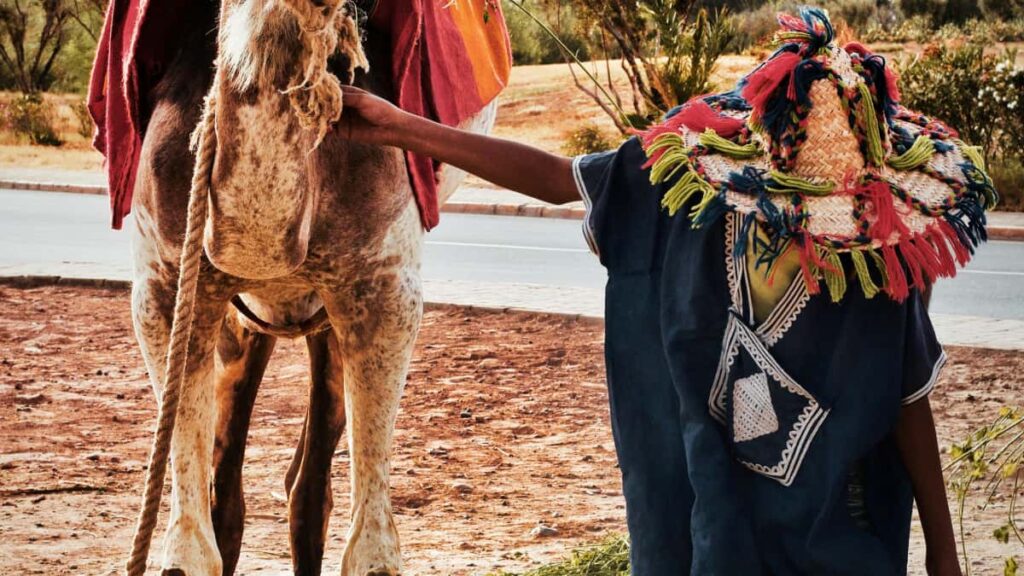 Practical playbook for Australian creators to find, pitch and partner with Ireland brands on Pinterest to share wardrobe haul and try-on videos.