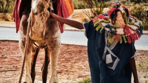 Practical playbook for Australian creators to find, pitch and partner with Ireland brands on Pinterest to share wardrobe haul and try-on videos.