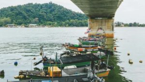 Practical playbook for Australian creators to connect with Kenyan brands on Kuaishou, use live commerce, and scale affiliate promos with local insights.