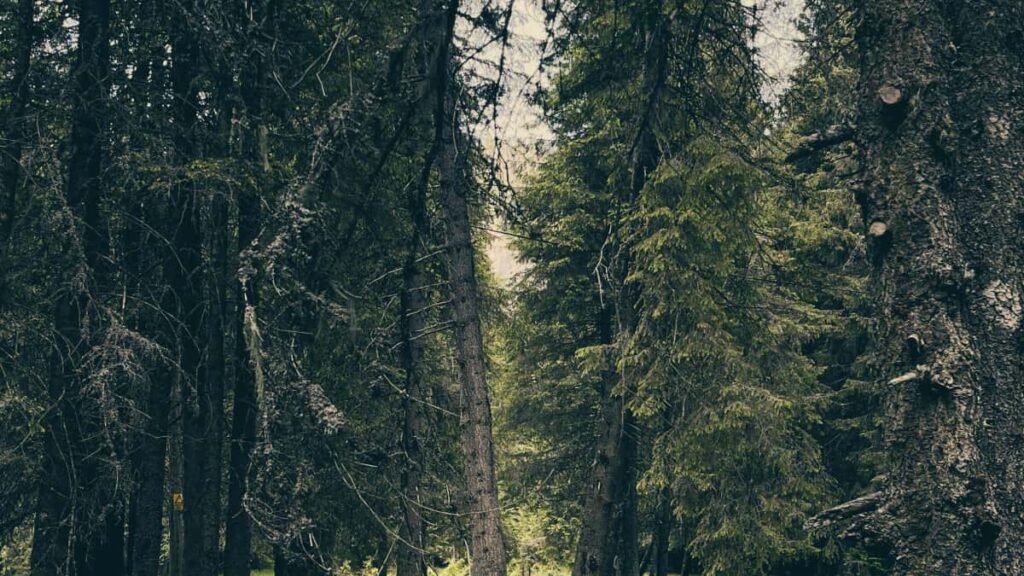 A practical playbook for Australian creators to pitch UAE brands on Snapchat, land PR packages, and turn unboxings into paid deals.