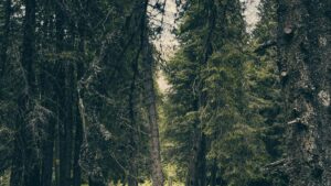 A practical playbook for Australian creators to pitch UAE brands on Snapchat, land PR packages, and turn unboxings into paid deals.