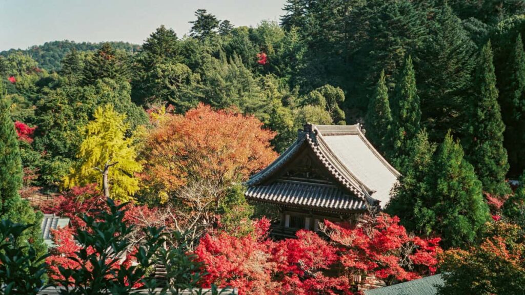 Practical guide for Australian creators on contacting Ukrainian brands via Facebook to co-create productivity guides outreach scripts, targeting, and partnership tips.