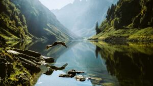 Practical guide for Australian advertisers to find Uzbekistan Xiaohongshu creators and run creator-driven product seeding campaigns that convert.