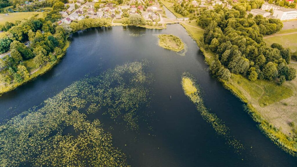 Practical playbook for Australian advertisers to find, vet and collaborate with Bangladesh-based Pinterest creators for viral unboxing campaigns.