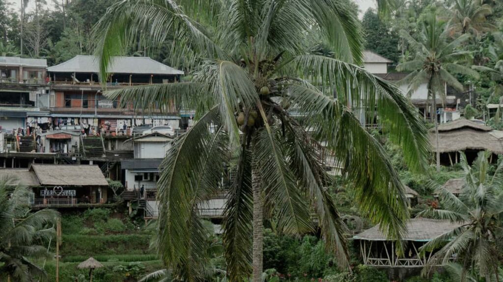 Practical guide for Australian advertisers to find UK Reddit creators and turn their audiences into buyers tactics, tools, and risk controls.