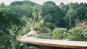 Practical playbook for Australian advertisers to find Ethiopia Shopee creators and turn engaged audiences into leads.