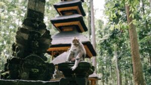 Practical guide for Australian creators to find, pitch and run gameplay challenge collabs with Kazakhstan brands on Discord step-by-step outreach, local tips, and privacy notes.