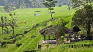 Practical, Aussie-friendly playbook for contacting Panama brands on LinkedIn to secure fitness-equipment review deals.