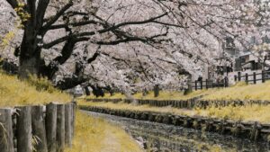 Practical guide for Australian advertisers on finding UK Disney Plus creators to promote mobile game launches, with platform tactics, outreach templates and campaign tips.