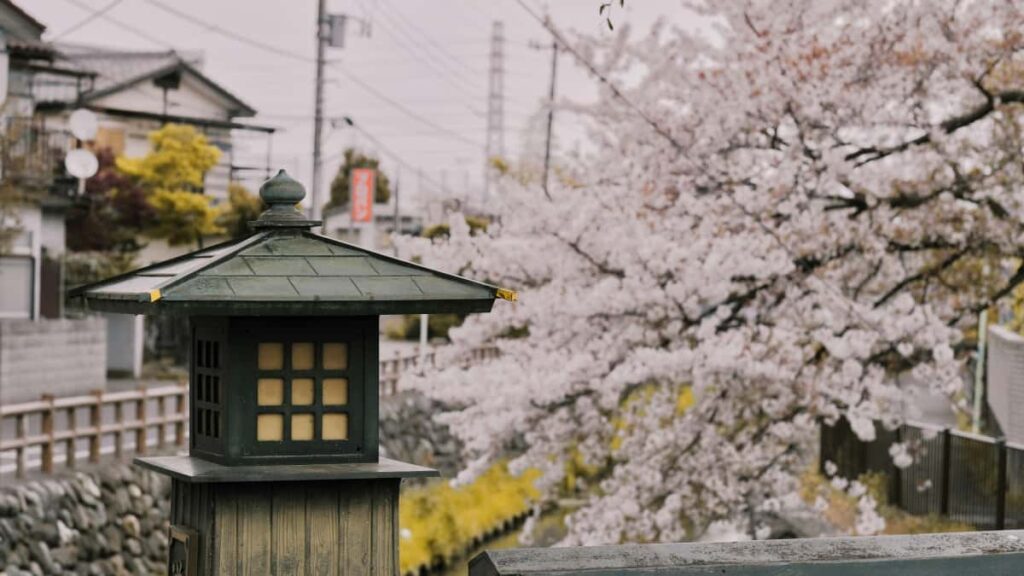 Practical guide for Australian creators on contacting Colombian brands via Rumble, pitching wardrobe-haul videos, and turning regional trends into paid collabs.