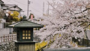 Practical guide for Australian creators on contacting Colombian brands via Rumble, pitching wardrobe-haul videos, and turning regional trends into paid collabs.